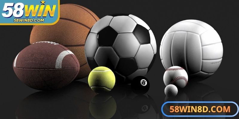 Tham gia cá cược thể thao 58Win đa dạng, hấp dẫn, minh bạch